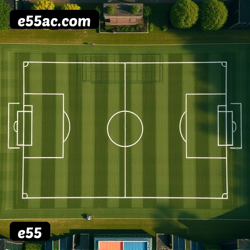 Logo da e55